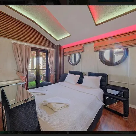 Asel Fethiye