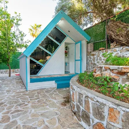 Asel Villa