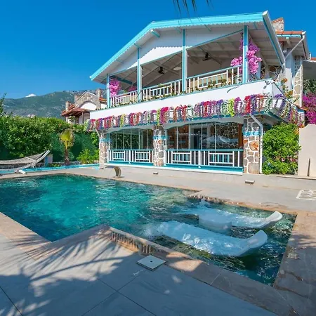 Asel Villa