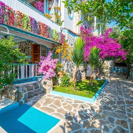 Asel Fethiye