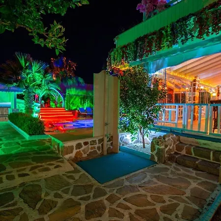 Asel Villa *