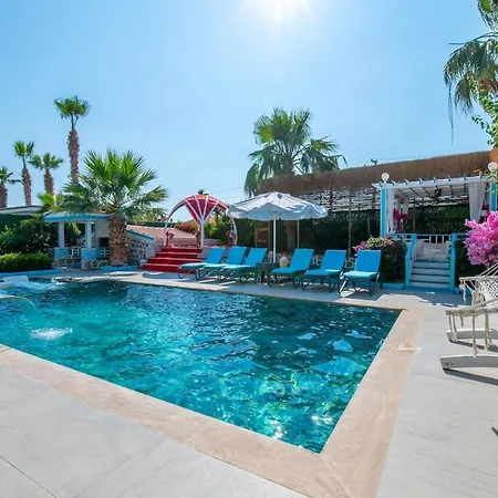 Asel Villa *